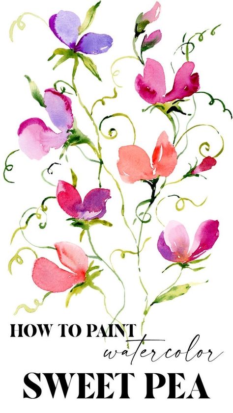 Painting Sweet Peas, Sweet Peas Painting, Sweet Pea Watercolour Paintings, Watercolour Sweet Pea, Watercolor Sweet Peas, Sweet Pea Watercolor, Sweet Peas Flowers, Abstract Watercolor Flower, Flower Calendar