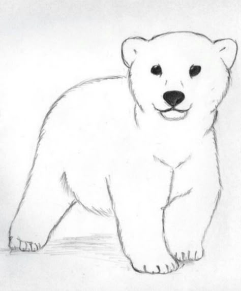 Bear Pictures Art, Simple Polar Bear Drawing, Baby Bear Drawing, Polar Bear Sketch, Deviantart Cartoon, Bear Drawing Easy, Drawings Background, Draw Bear, Draw A Bear