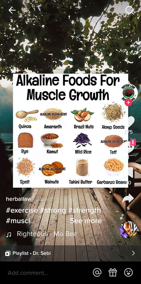 Alkaline Beans, Dr Sebi Cleanse, Alkaline Diet For Beginners, Alkaline Foods Dr Sebi, Dr Sebi Nutritional Guide, Food For Muscle Growth, Dr Sebi Diet, Temple Food, Alkalizing Foods