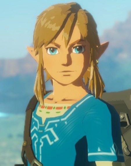 Botw Link Reference, Link Reference Sheet, Botw References, Link Sketch, Link Totk, Totk Link, Link Breath Of The Wild, Link Botw, Botw Zelda