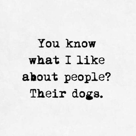 Puppies Quotes, Merry Jane, Dog Mom Quotes, Puppy Quotes, Crazy Dog Lady, Quotes For Instagram, Dog Lady, Crazy Dog, Pet Necklace