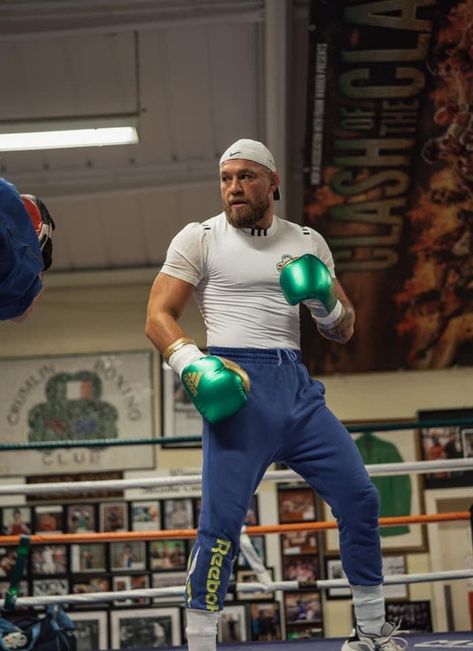 Conor Mcgregor Boxing, Boxer Aesthetic, Fighter Workout, Boxing Training Workout, Boxing Clothes, Boxing Images, Notorious Conor Mcgregor, Ufc Boxing, Beyonce Outfits