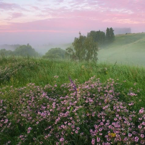 Last Ride, Pretty Landscapes, The Grass, Nature Aesthetic, Pretty Places, Mother Earth, Pretty Pictures, Mother Nature, Beautiful Nature