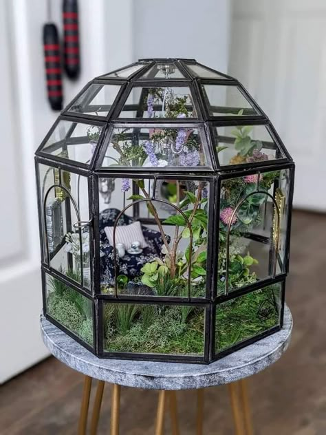 Tarantula Enclosure Aesthetic, Plant Enclosure, Spider Terrarium Ideas, Spider Terrarium, Pet Frog Habitat Terrariums, Insect Enclosure, Spider Enclosure, Bug Terrarium, Spider Enclosure Ideas