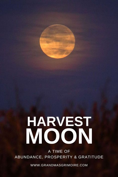 Harvest Moon 2024 » Grandma's Grimoire Harvest Moon Aesthetic, Harvest Moon Ritual, September Magick, Wiccan Traditions, Full Moon Photography, Ceremonial Magick, Moon Names, Harvest Day, Pagan Crafts