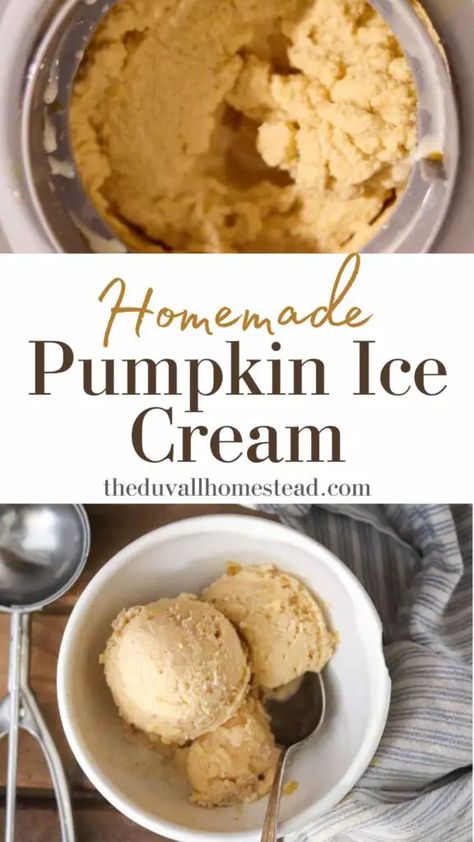 Homemade Pumpkin Ice Cream (Without Heavy Cream Option) - The Duvall Homestead Ice Cream Without Heavy Cream, Homemade Pumpkin Ice Cream, Heavy Cream Recipes, Homemade Bone Broth, Cinnamon Pumpkin, Pumpkin Ice Cream, Pumpkin Squash, Fermented Vegetables, Pumpkin Spice Syrup