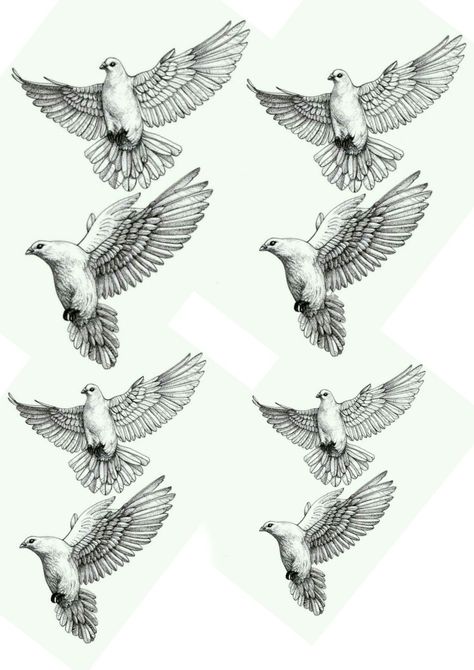 Men’s Dove Tattoo, 4 Doves Flying Tattoo, Dove Arm Tattoo Men, Heaven Birds Tattoo, Pigeon Tattoo Men, Small Doves Flying Tattoo, Two Turtle Doves Illustration, Three Doves Tattoo, White Pigeon Tattoo