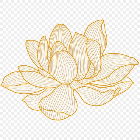 Lotus Flower Graphic Design, Lotus Flower Clipart, Lotus Vector Design, Lotus Graphic Design, Lotus Flower Art Design, Lotus Animation, Lotus Line Drawing, Lotus Flower Line Art, Draw Lotus Flower