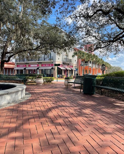 #celebration #florida #mainstreet #aesthetic Florida Neighborhood Aesthetic, Neighborhood Aesthetic, Plant City Florida, Celebration Florida, Plant City, Florida City, Main Street, The Neighbourhood, Florida