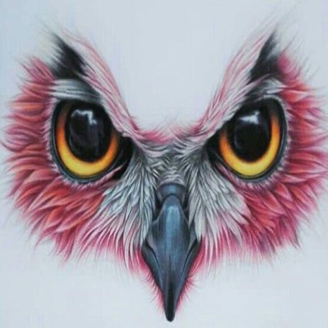 snake mix: A playlist by Lay Chhuon on Audiomack Owl Eye Tattoo, Owl Tattoo Drawings, Eagle Drawing, Owl Tattoo Design, Owl Eyes, Owls Drawing, Owl Pictures, Soyut Sanat Tabloları, Desenho Tattoo