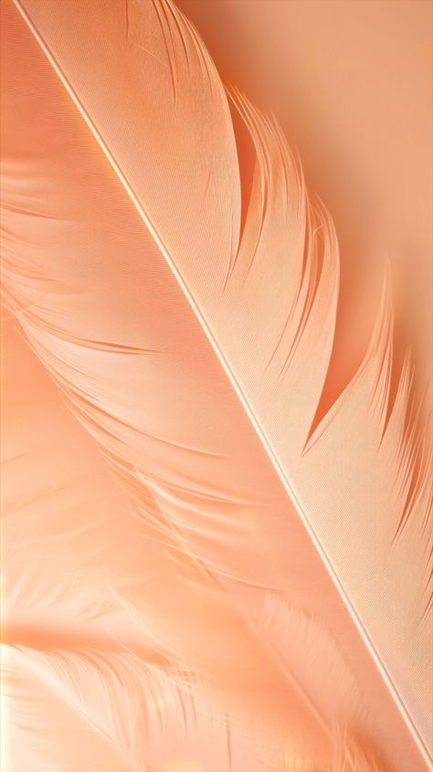 Cmf Design, Beauty Hair Color, Peach Aesthetic, Business Colors, Whatsapp Wallpaper, Peach Blush, Orange Aesthetic, Phone Wallpaper Design, Peach Fuzz