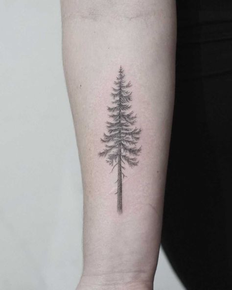 Douglas Fir Tattoo, Washington Tattoo, Henna Tattoo Foot, Tree Tattoo Meaning, Pine Tattoo, Tree Tattoo Forearm, Tree Tattoo Arm, Anniversary Tattoo, Pine Tree Tattoo