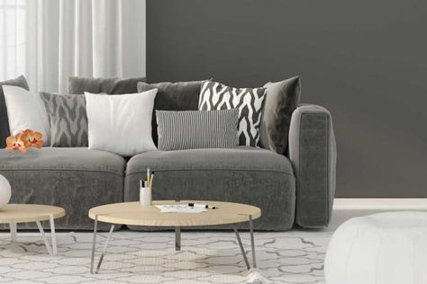 Seven 10X10 Bedroom Layouts To Consider [Inc. 3D Simulations!] - Home Decor Bliss Cushions For Grey Sofa, Dark Gray Couch, Dark Grey Couch, Gray Sofa Living, Green Couch Living Room, Picture Wall Living Room, Dark Grey Couches, Living Room Vinyl, Modern Grey Living Room