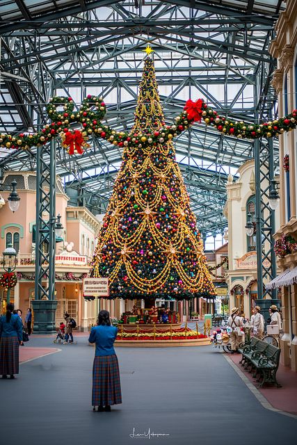 Tokyo Disney Christmas, City Christmas Tree, Outdoor Decoration Christmas, Crismas Tree, House Christmas Decorations, Outdoor Tree Decorations, Christmas Tree Outdoor, Giant Christmas Tree, Christmas Bazaar