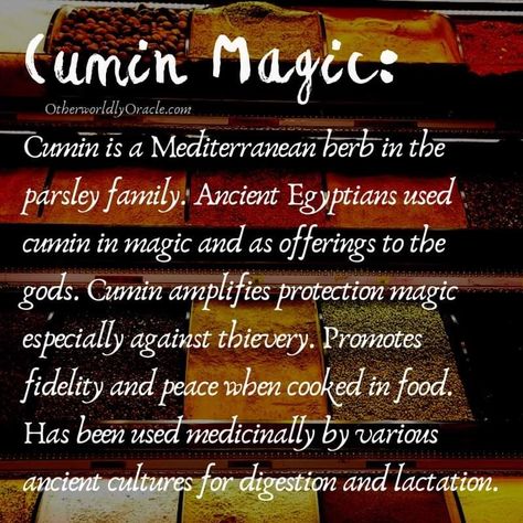 All about cumin spice magic Kitchen Witch Recipes, Magickal Herbs, Witch Herbs, Witch Tarot, Kitchen Witchery, Magic Herbs, Magical Herbs, Wiccan Spell Book, Witchcraft Spell Books