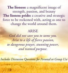 Tattoo Lion Women, Lisa Bevere Quotes, Lioness Arising, Lioness Quotes, Dangerous Prayers, Lion Lioness, Lisa Bevere, Tattoo Lion, Lioness Tattoo