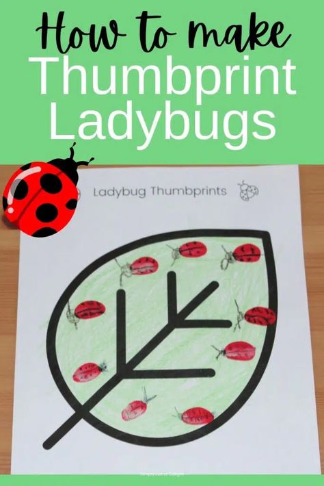 ladybug thumbprint art Grouchy Ladybug Activities, Ladybugs Preschool, Time Craft, Bug Activities, Prek Crafts, Bee Crafts For Kids, Bugs Preschool, Lesson Plans For Toddlers, Ladybug Crafts