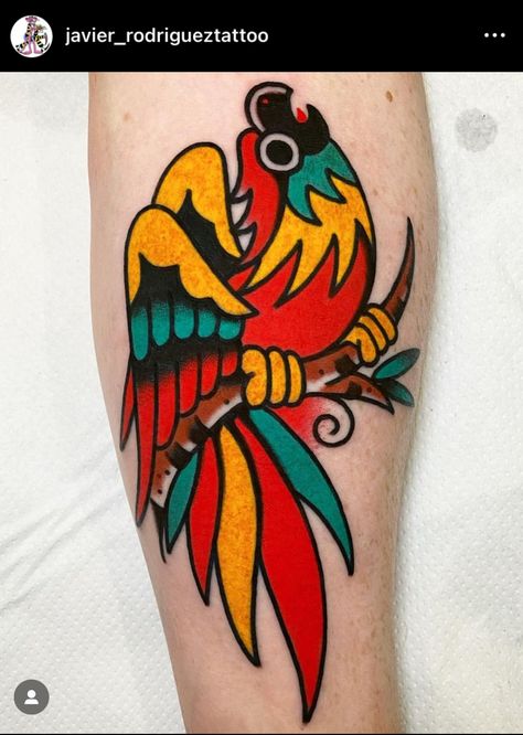 Old School Parrot Tattoo, Traditional Parrot Tattoo Design, Parrot Head Tattoo, Parrot Memorial Tattoo, Parrot Feet Tattoo, Indian Ringneck Parrot Tattoo, Flash Ideas, Head Tattoo, Parrot Head