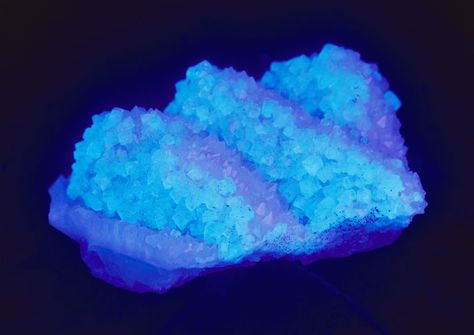 Make a glow in the dark crystal geode. It's a fun and easy science project. Frost Window, Alum Crystals, Easy Science Projects, Borax Crystals, Window Paint, Chemistry Projects, Growing Crystals, How To Make Crystals, Dark Crystal