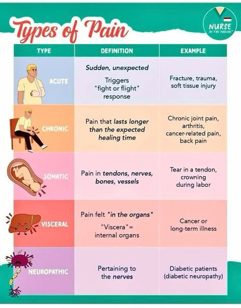 Types of Pain #nursingstudent #nurse #resources - Image Credits: Christine Benedict Foundations Of Nursing Study Guide, Med Pass Nursing Tips, Simple Nursing Study Guides Fundamentals, Simple Nursing Study Guides, Foundations Of Nursing, Nursing School Studying Cheat Sheets, Nurse In The Making, Nursing School Essential, Nursing Study Guide