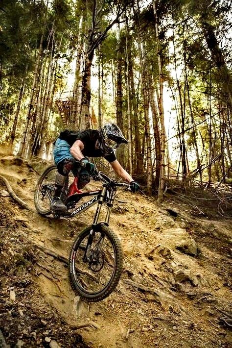 Giant Trance, Mountain Biking Photography, Mountain Bike Art, Downhill Mountain Biking, Downhill Bike, Downhill Mtb, Bike Photography, Mountain Bike Shoes, Mtb Bike Mountain