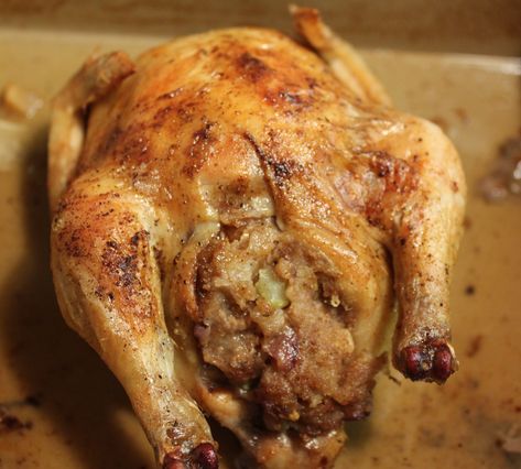 Cornish game hen with apple walnut stuffing Stuffed Cornish Hen Recipe, Cornish Hen Recipes Oven, Walnut Stuffing, Cornish Game Hen Recipes, Cornish Game Hens, Cornbread Stuffing Recipes, Szechuan Recipes, Mulberry Recipes, Cornish Hen Recipe