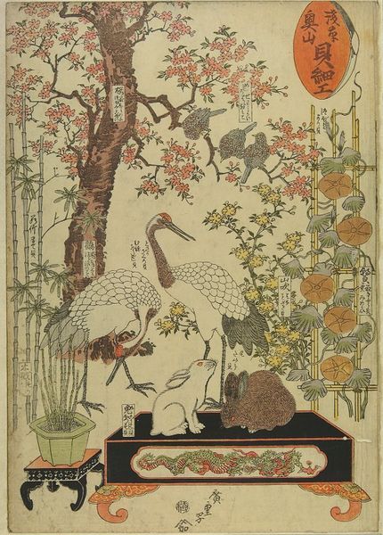 Cranes and rabbits; Shellwork Exhibition at Okuyama in Asakusa | Ando Hiroshige | V&A Search the Collections Ando Hiroshige, Ornamental Cherry, Japanese Myth, Vintage Matchbooks, Japanese Animals, Japan Painting, Utagawa Hiroshige, Asian Painting, Rabbit Art