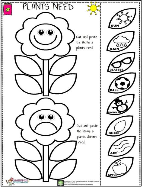 Garden Worksheets Kindergarten, Art Worksheets For Grade 1, Plant Crafts Preschool, Preschool Plants, Plants Kindergarten, Plant Lessons, Plants Worksheets, Preschool Garden, Planting For Kids