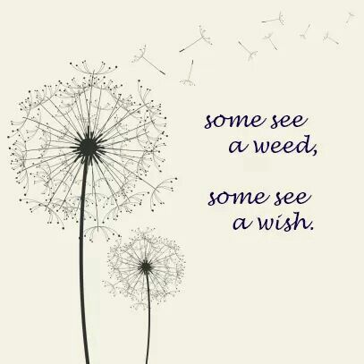 Some see a weed. Some see a wish. Some See Weeds Others See Flowers, Make A Wish Dandelion Art, Some See A Wish Dandelions, Make A Wish Quote, Dandelion Quotes, Botanical Art Drawing, Dandelion Tattoo Design, Relax Quotes, Dandelion Art