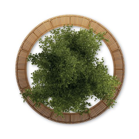 Circular Bench Seating, Pergola Top View, Fountain Top View, Fountain Top View Photoshop, Bench Top View, Landscape Top View, Park Top View, Urban Bench Design, Landscape Seating