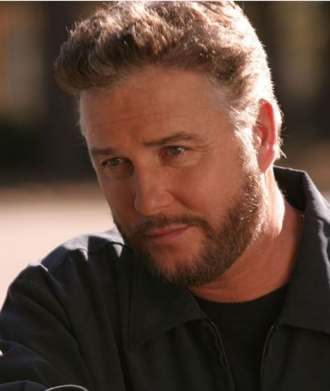 Gil Grissom, William Petersen, Csi Las Vegas, Favorite Actors, Best Actor, Television Show, Las Vegas, Actors, Pins