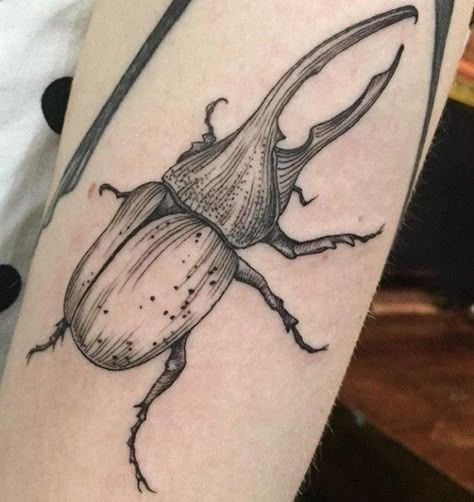 Goliath Beetle Tattoo, Hercules Beetle Tattoo, Insect Tattoos, Red Bug, Beetle Tattoo, Tattoo Dotwork, Tattoos Sleeve, Insect Tattoo, Bug Tattoo