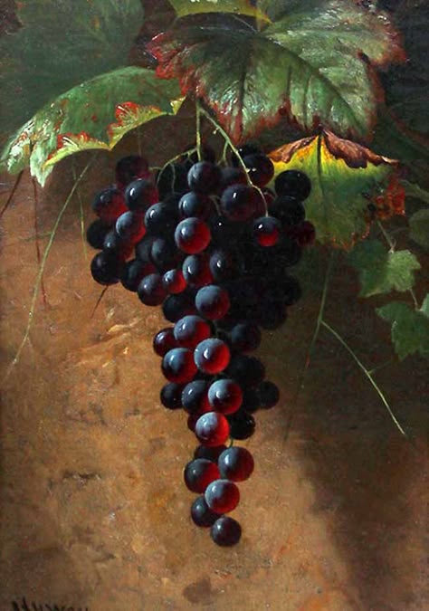 Grape Oil, Grape Painting, John Henry, Growing Grapes, Still Life Oil Painting, Grape Bunch, Fruit Painting, Still Life Art, Still Life Painting