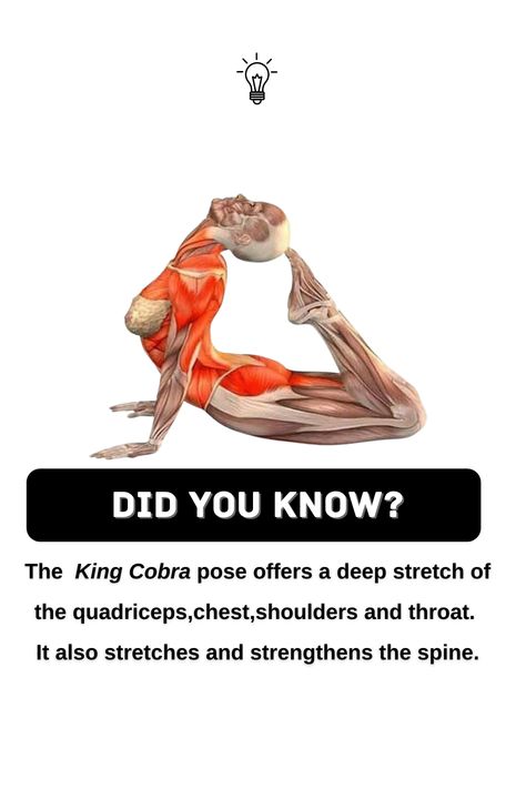 Cobra Exercise, King Cobra Pose, Cobra Stretch Exercise, Bending Pose, Benefits Of Doing Yoga Everyday, Toned Back, Wellness Meditation, Start Yoga, King Cobra Yoga