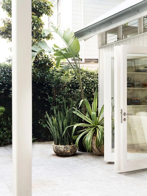 A Tropical Palm-Filled Garden In Eastern Sydney Best Beach Chair, Affordable Outdoor Furniture, Garden Sanctuary, Palm Garden, Pool Landscape Design, Australian Garden, Tropical Theme, Pool Tile, Australian Homes