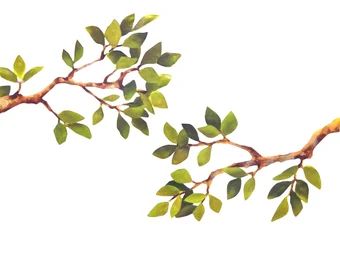 Drawing Branches And Leaves, Tree Branches Illustration, Tree Branch Drawing, Tree Branch Illustration, Tree Branch Painting, Utility Wall, Woodland Mural, Branch Drawing, Leaf Png