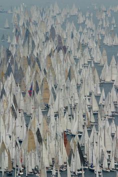 Yacht Racing, Sailing Vessel, Photo Vintage, Tall Ships, Sailing Yacht, In The Ocean, Sailboats, Water Crafts, Sailing Ships