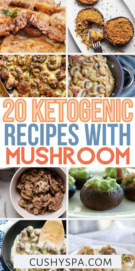 Need a quick and easy keto lunch or dinner for two? Try these keto mushroom recipes that are low carb and Keto friendly! Can be easily be made and great for healthy meal prep too! Leftover Chicken Keto, Keto Mushroom Recipes, Mushroom Meals, Recipe With Mushrooms, Keto Mushrooms, Low Carb Meal Plan, Ketogenic Diet Meal Plan, Recetas Keto, Are You Serious