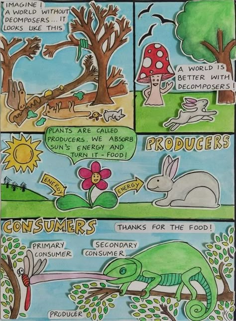 Ecosystem Drawing Ideas, Ecosystem Drawing Easy, Simple Comic Strip Drawing, Simple Comic Strip, Easy Comics, Easy Comics Strips, Ecosystem Art, Comic Strip Drawing, Producers Consumers Decomposers