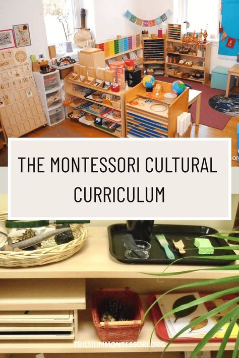 The Montessori cultural curriculum includes lessons on geography, botany, zoology, science, art, and music. Montessori Cultural Shelves, Montessori Categories, Montessori Science Shelf, Montessori Preschool Curriculum, Montessori Science Activities, Montessori Culture, Montessori Activities Preschool, Montessori Kindergarten, School Planning