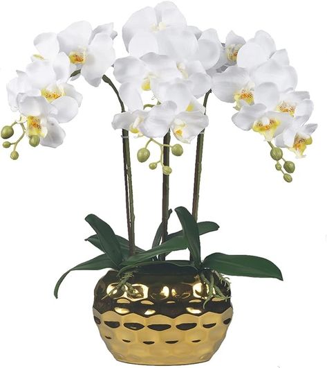 Amazon.com: W&W Artificial Orchid Plants & Flowers Arrangement in Ceramic Pot, Fake Faux White Orchid with Gold Vase, Realistic Phalaenopsis Orchids for Home Decor Indoor : Home & Kitchen Faux Orchid, Popular House Plants, Orchid Flower Arrangements, Law Office Decor, Orchid Centerpieces, Calla Lily Flowers, Silk Orchids, Gold Vase, Orchid Plant