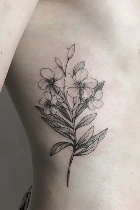 Stephanotis Tattoo, Nerium Oleander Tattoo, White Oleander Tattoo, Oleander Flower Tattoo, Laurel Flower Tattoo, Oleander Drawing, Oleander Tattoo, Poisonous Flowers, Jasmine Tattoo