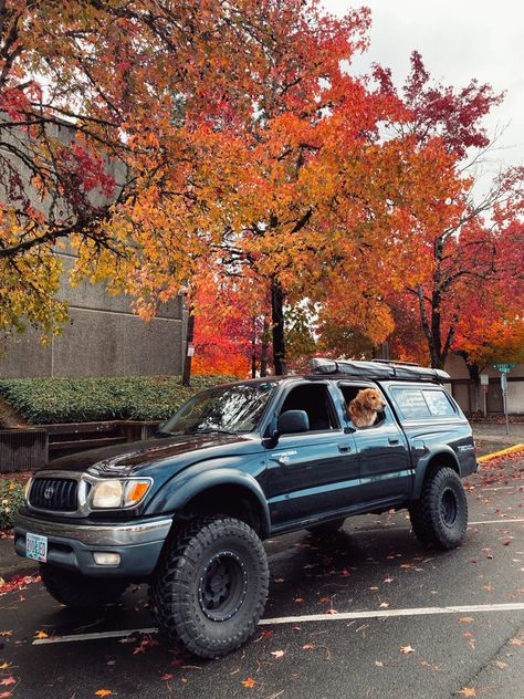 Interior Truck Ideas, Tacoma Aesthetic, Overland Toyota, Toyota Surf, Truck Canopy, Toyota Pickup 4x4, Tacoma Truck, Adventure Car, Vintage Pickup Trucks