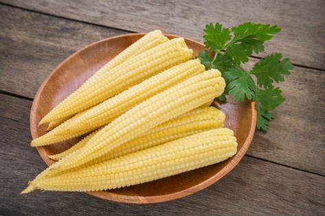 How to Grow Baby Corns at Home in Pots | Balcony Garden Web Pickled Baby Corn Recipe, Corn Vegetable, Sauce Tartare, Crazy Kitchen, Mexican Side Dishes, Baby Corn, Corn Seed, Corn Plant, Side Dishes For Bbq