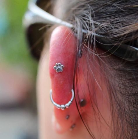 Cool Ear Piercing, Claires Ear Piercing, Triple Ear Piercing, Triple Lobe Piercing, Auricle Piercing, Ear Piercing Ideas, Ear Piercings Chart, Helix Piercings, Cool Ear Piercings