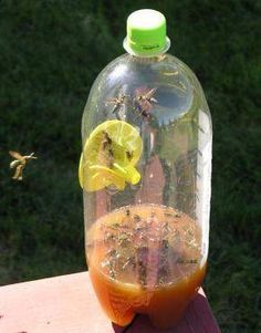 Turn ordinary 2-liter bottles into deadly traps for wasps and hornets - without chemicals or poisons! Made of durable hard plastic, funnels are environmentally friendly, economical and easy to use. Add attractant to bottle and mount funnel into the side Wasps and hornets can't resist the bait, and once they fly in, they can't find their way out Place several traps around the yard for best results When full, discard bottle and start again - use funnels over and ov... Yellow Jacket Trap, Hornet Trap, Wasp Traps, Bee Traps, Bug Trap, Bug Control, Garden Insects, Garden Pest Control, Bug Repellent