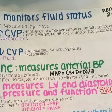 Nursing Assignment Help Service | Nursing Tutor on Instagram: "✨ HEMODYNAMIC MONITORING NURSING Follow @nursedianamark for more amazing nursing tips, guides and related content. . . . #nursingnotes #nursingstudent #nursing #nursingschool #nurse #nurselife #nurses #studentnurse #nursingschoollife #nursingschoolproblems #nurseinprogress #prenursing #nursingmemes #medicalstudent #nursingstudents #nursingstudentlife #nclexquestions #medical #medicalnotes #nursepractitioner #nursingeducation #nclex Hemodynamic Monitoring, Nursing School Problems, Nursing School Life, Nclex Questions, Nursing Memes, Nursing Tips, Nursing Education, Nursing Notes, Assignment Help