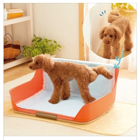 Dog Potty Area, Indoor Dog Potty, Perro Shih Tzu, Dog Toilet, Dog Potty, Smart Tiles, Dog Area, Cat Playground, Puppy Supplies