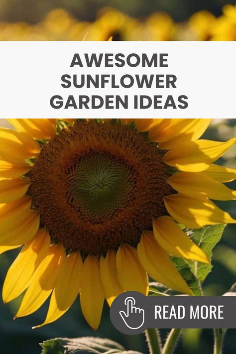 Want to brighten your yard? Add sunflowers! They’re happy, cheerful flowers that can make any garden feel like a happy place. Try different colors and sizes together for a beautiful mix. Plant some seeds this week, and you’ll be watching them grow soon! Growing tall sunflowers can attract butterflies and bees, making your garden lively and fun. Use pots if you have a small area. Combine sunflowers with other colorful flowers to create a pretty flowerbed. Check out these simple sunflower garden ideas to get started on your bright and happy yard today! Sunflower Yard Ideas, Sunflower Planting Ideas, Sunflower Garden Backyard, Sunflowers Planting Ideas, Growing Sunflowers Outdoors, Sunflower Garden Ideas, Sunflower Planting, Planting Sunflower Seeds, Tall Sunflowers