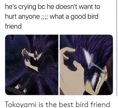 Tokoyami Fumikage, Boku No Academia, Kirishima Eijirou, Class 1 A, My Hero Academia Shouto, My Hero Academia Memes, Buko No Hero Academia, Boku No Hero Academia Funny, Izu